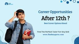 Career Opportunities After 12th