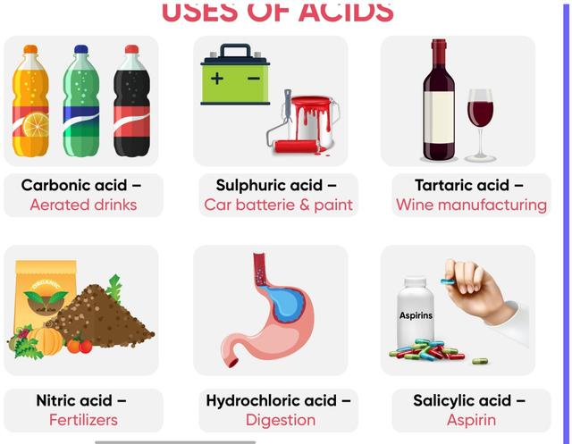 Class 6 Science – Complete Syllabus Mastery Course by Shallvi Thakur