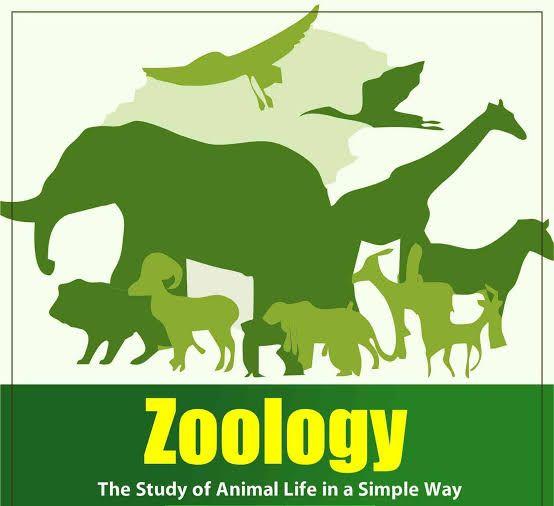 Zoology for Class 11 & 12 (NCERT) – Online NEET- Tripathi