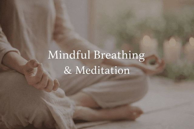 Mindful Breathing & Meditation Program by Nandini Pandey