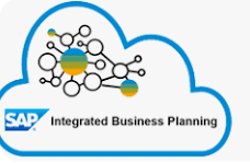 SAP IBP Course by Sanjay Kesarwani