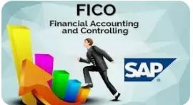 SAP FICO Course by Sanjay Kesarwani