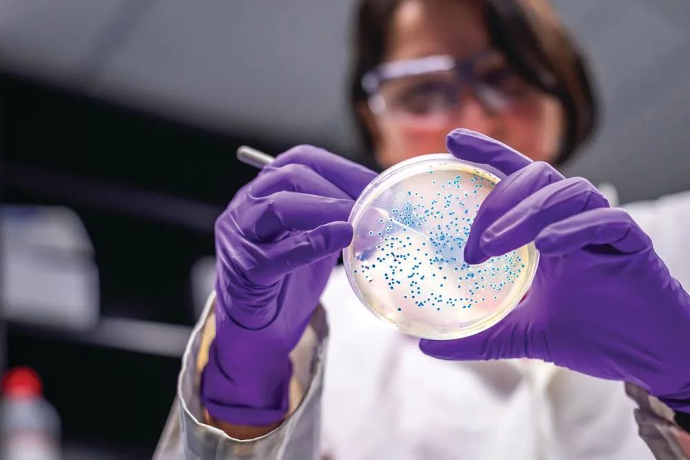Microbiology Course  by Swetha