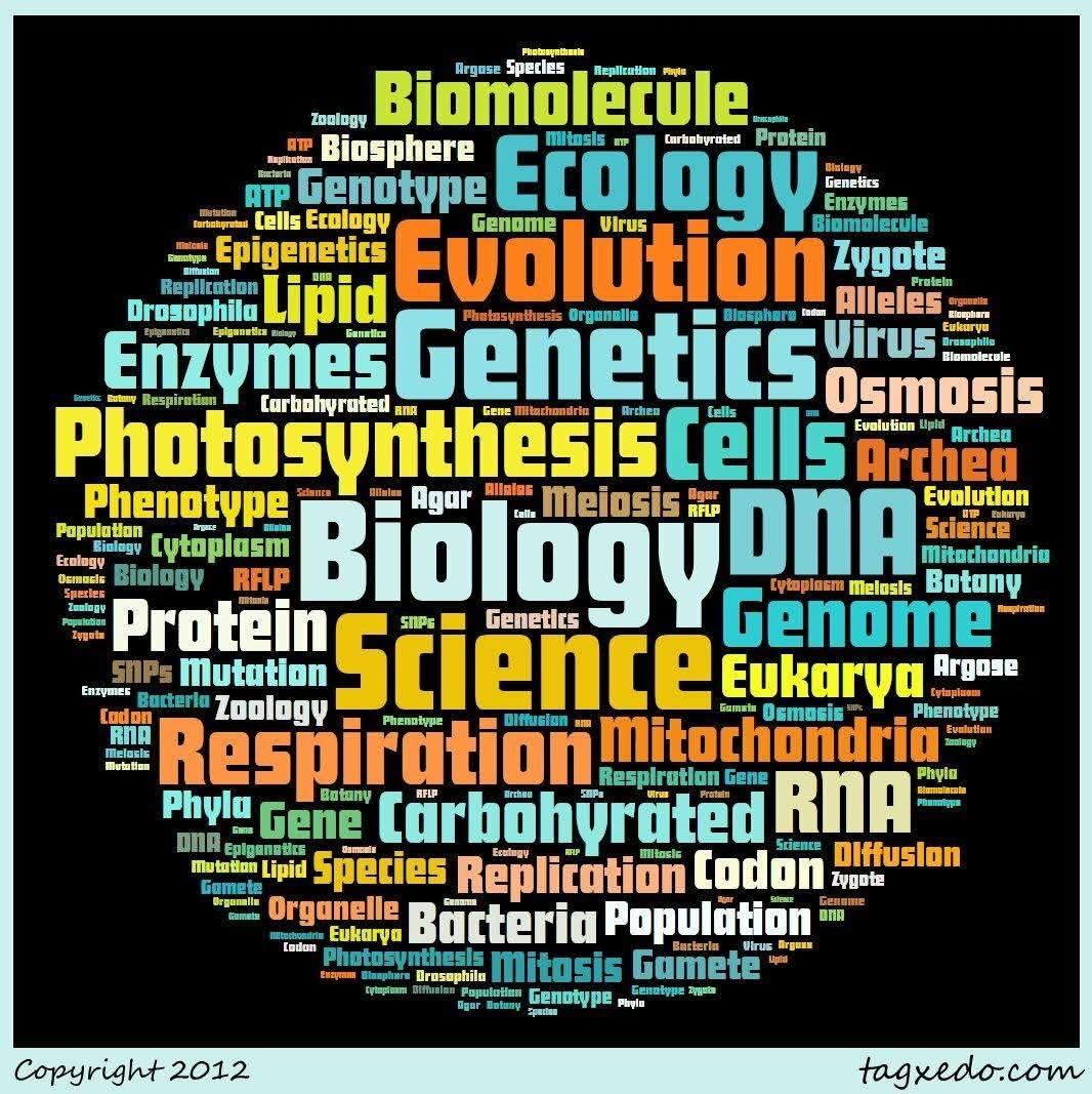 Biology Tution  (10-12 & NEET) by Priya Gaba