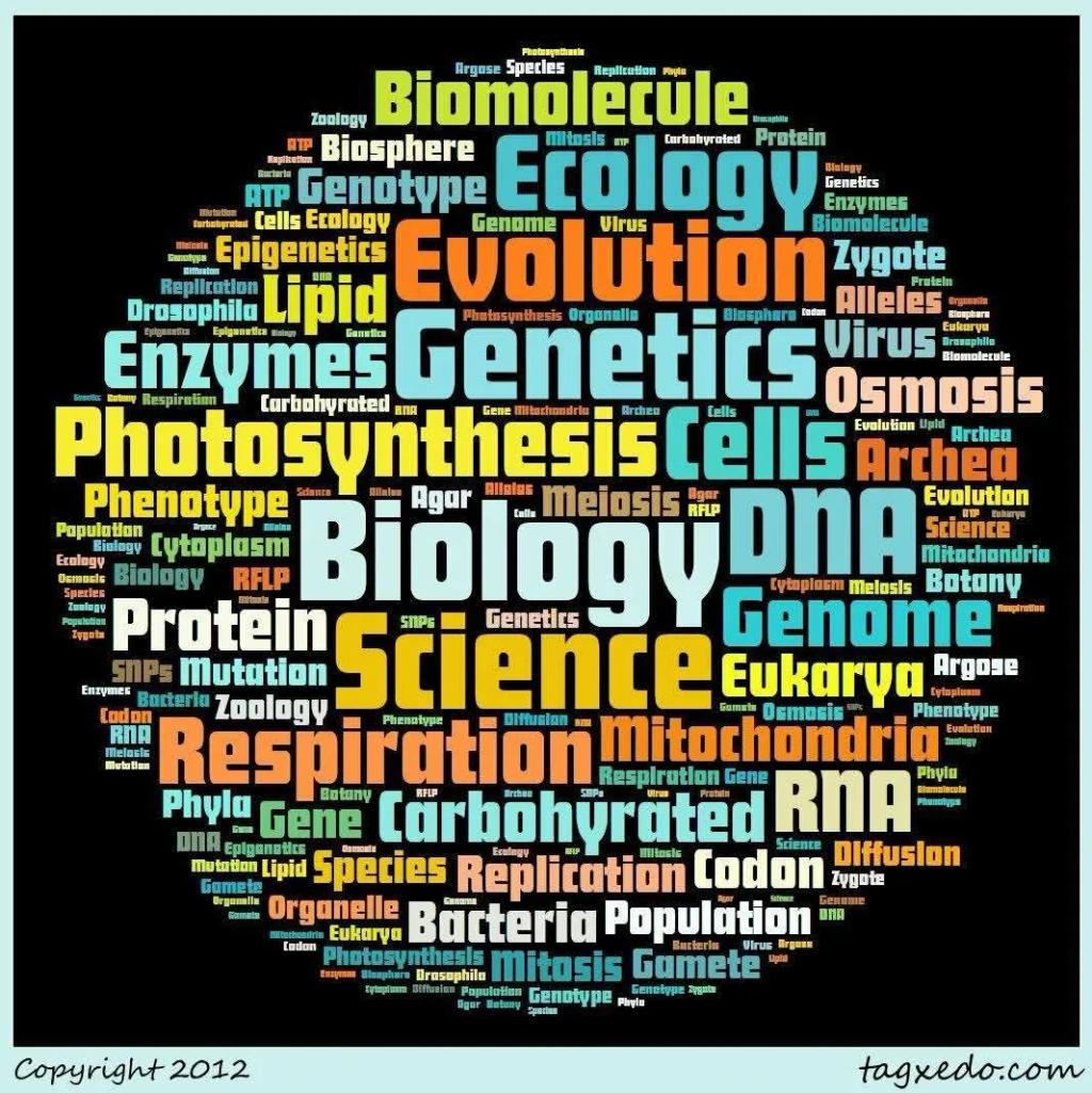 Biology Tution  (10-12 & NEET) by Priya Gaba