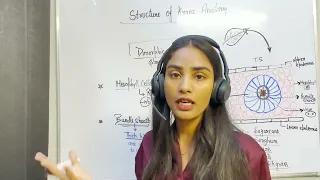 Classes (11-12) Biology & NEET biology