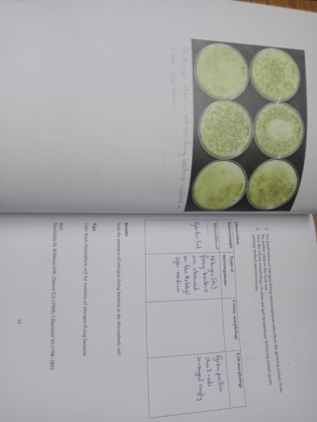 English