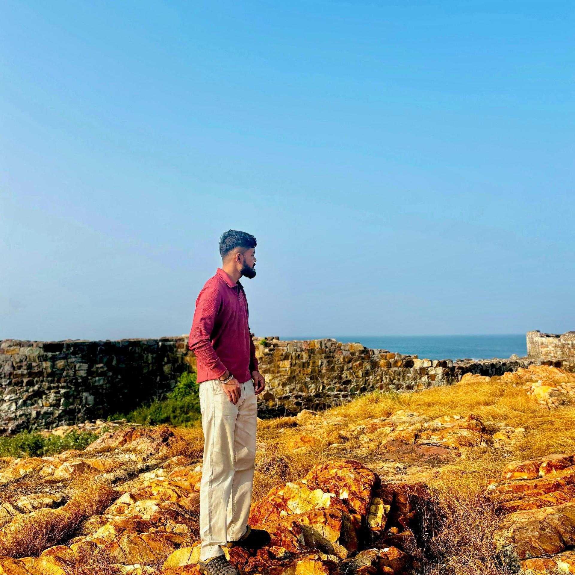 Software development