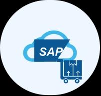 SAP S4 HANA category