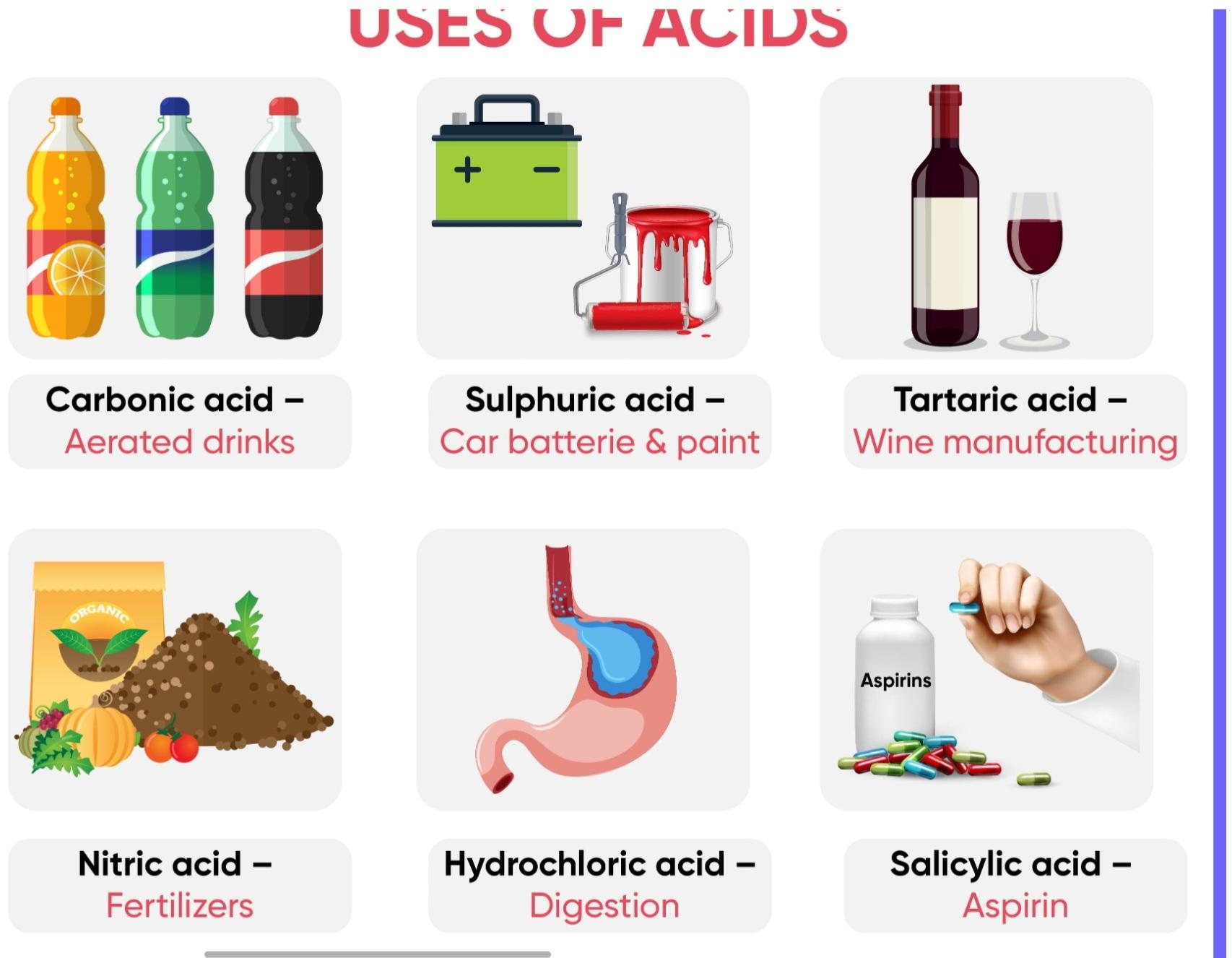 Class 6 Science – Complete Syllabus Mastery Course by Shallvi Thakur