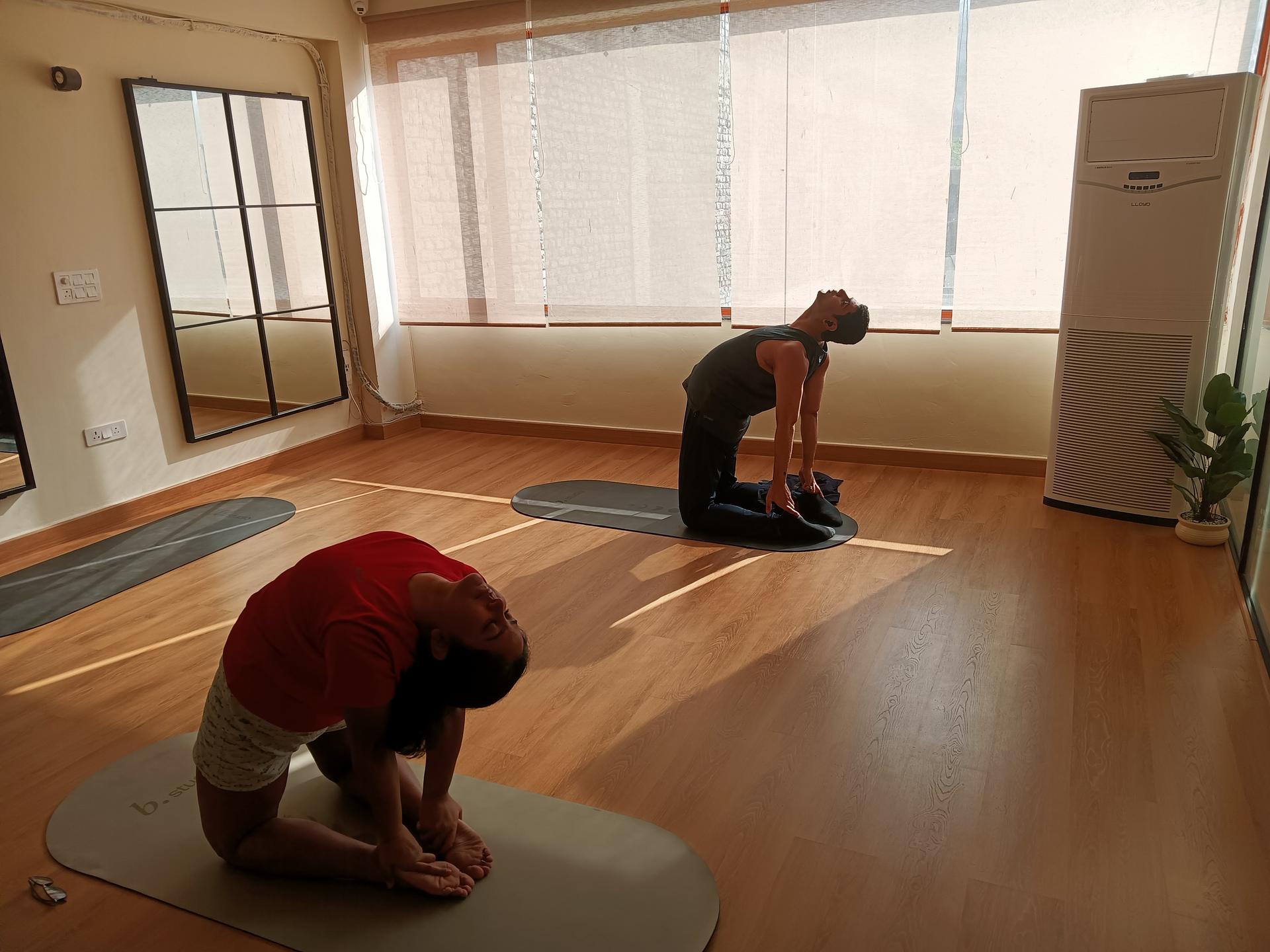 Therapeutic Yoga Program by Shourya Gupta