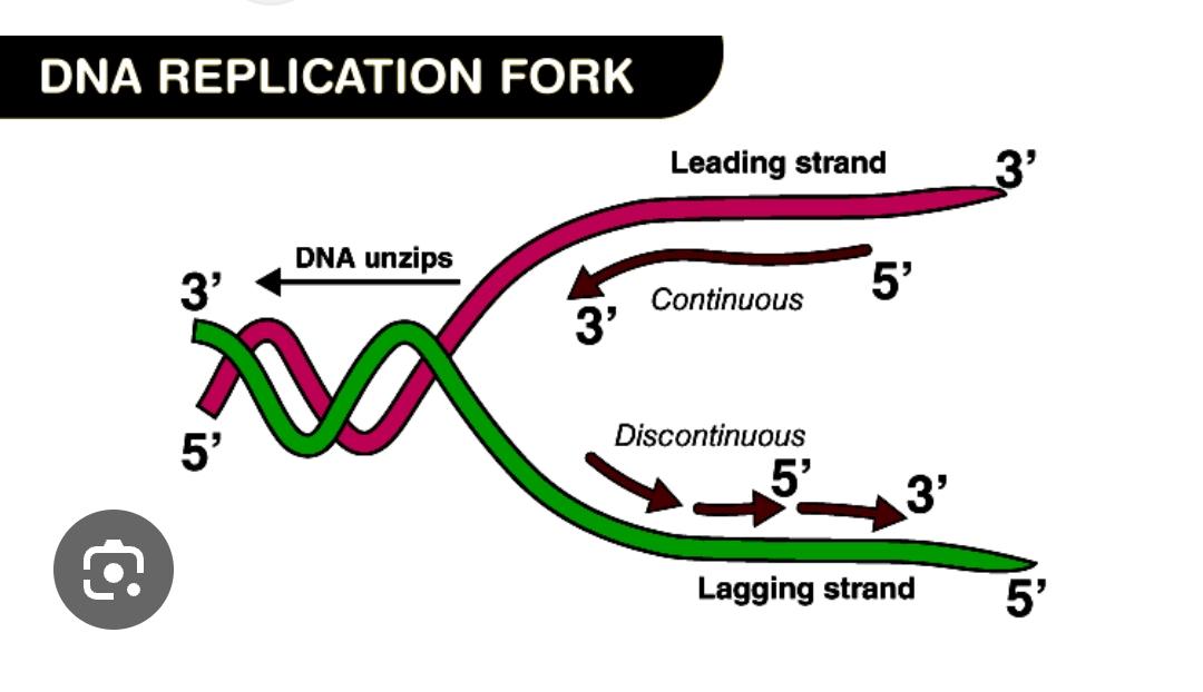 Biology & Biotechnology by REECHA SINGH