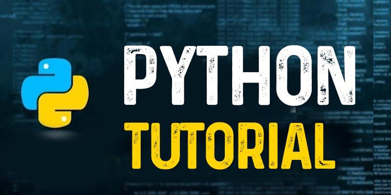 Python Programming for Beginners