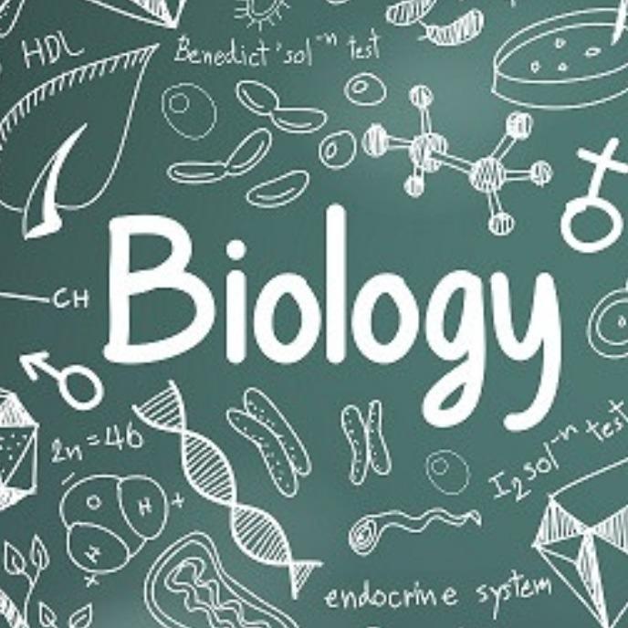 Gateway to Biology: Concept Mastery Course for Classes 6–12 (CBSE & International) by Bhavisha Solanki